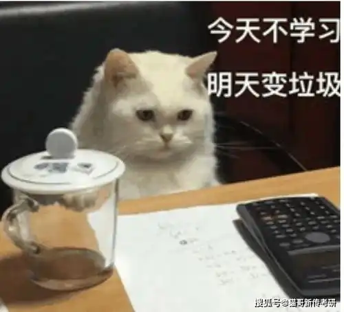  又不想学了,为什么你总是这么容易放弃