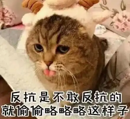  微快递今日份大风正在派送中,请穿好秋裤,准备签收