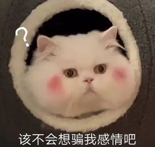 帅的表情包图片头像