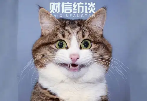  华鑫信托335号成都金堂