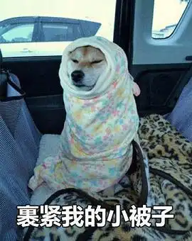  裹棉被表情包大全