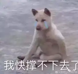  沙县虾要和3g说再见了