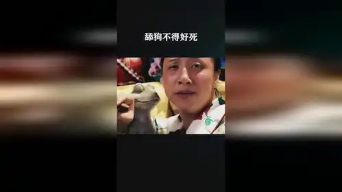  舔狗不得好死