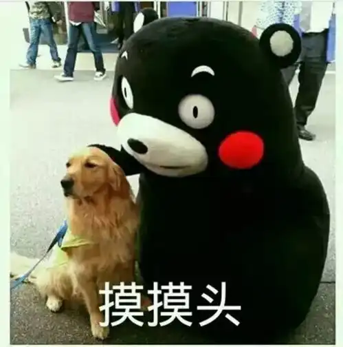  宋威龙机场被错认成胡一天,这波接机的粉丝怕是雇来的吧