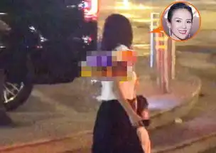  塑料姐妹情章子怡惋惜宋慧乔离婚,当晚和刘芸聚会狂欢