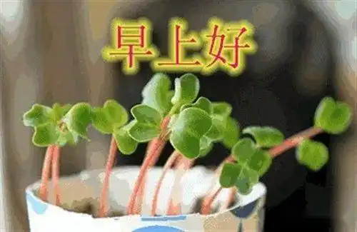  人才推荐房屋交易车辆买卖商家活动生活服务等信息