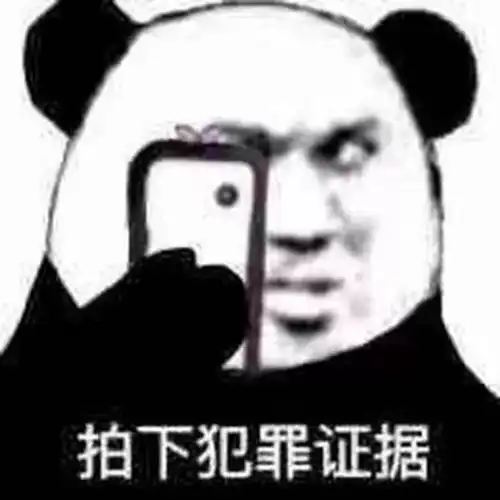  今日份表情包