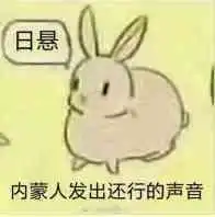  呼和浩特,包头,鄂尔多斯哪个地方好