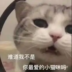  电话,地址,价格,营业时间上海电影演出赛事