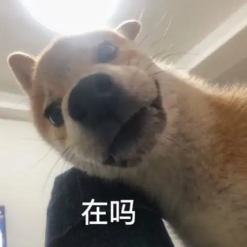  斗图表情包合集我举脚脚表示赞同