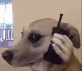 huh猫表情包动图舔狗