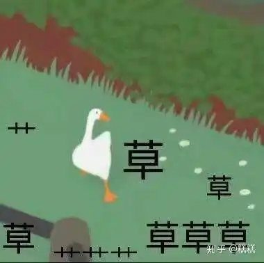  请问这个白鹅的出处有更多类似表情包吗