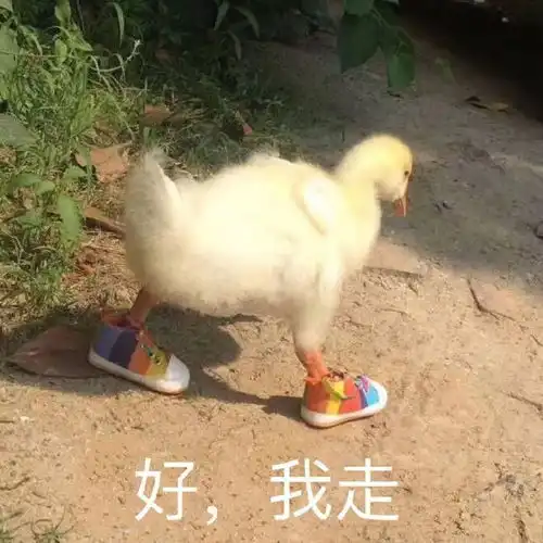  表情包动图,离开也很体面