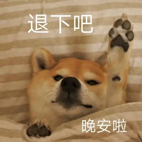 hhh表情包说晚安