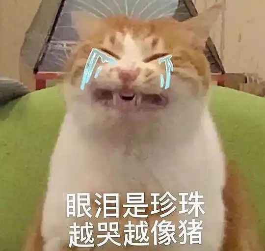  玫瑰沾白糖的相册天使猫猫的表情包