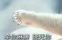  不要随便跟男朋友玩表情包斗图,会被拉黑的