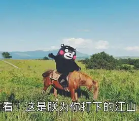  关于凯尔特人的故事,还得从两年前说起