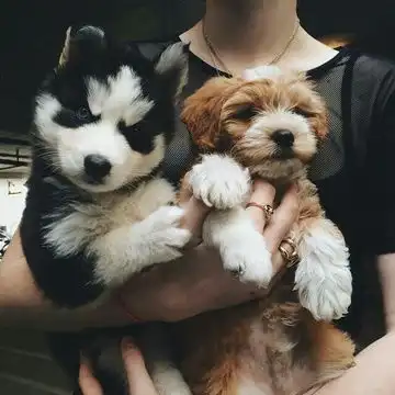  我的收藏