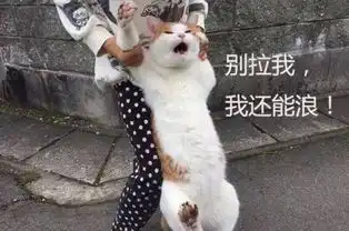  第一次出国游探访萨瓦迪卡国度