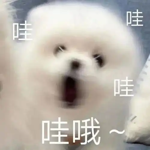 贝拉表情包表情包