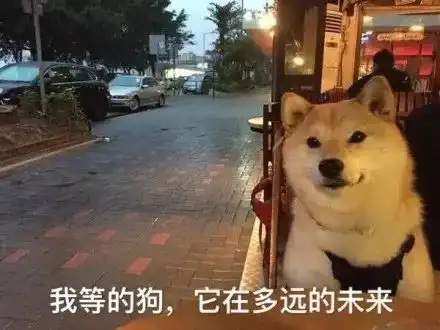  每日表情情侣单身狗斗图表情包