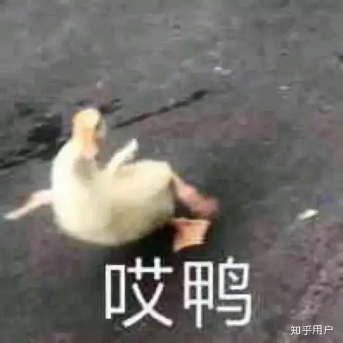  山东畜牧兽医职业学院很不好么