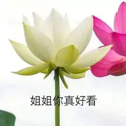  最怕身边有一个高段位心机婊,撕x都无从下手