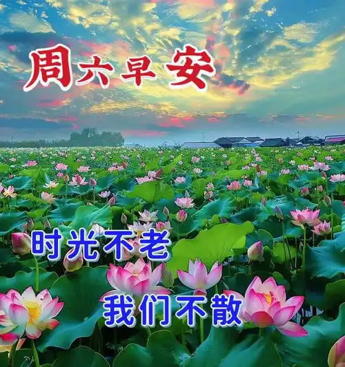  6月22日周六早上好美好的周末已经开启,放松一下自己