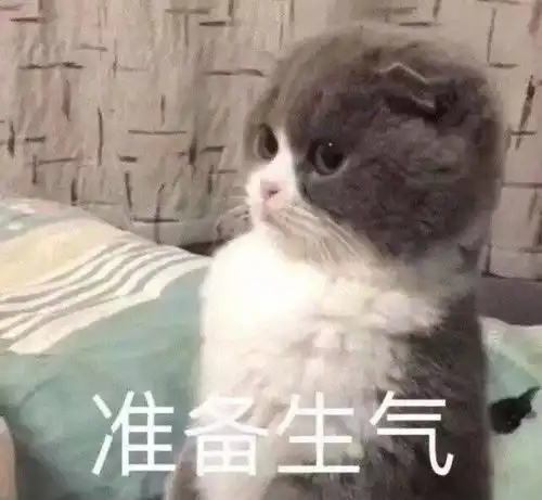  新版征服者适用英雄大评级刀妹还能靠它缓一口
