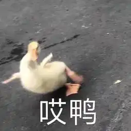  pokemmob站可能最全的刷闪追梦推荐地点q3q
