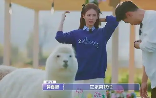  陈一鸣被羊驼吐口水,谁注意金晨的下意识表情,喜不喜欢一目了然