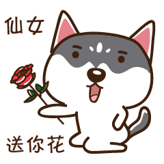  二哈微信表情第一弹