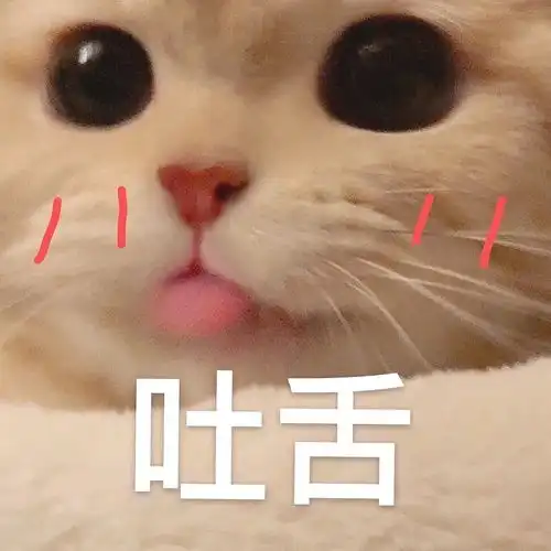  我的收藏