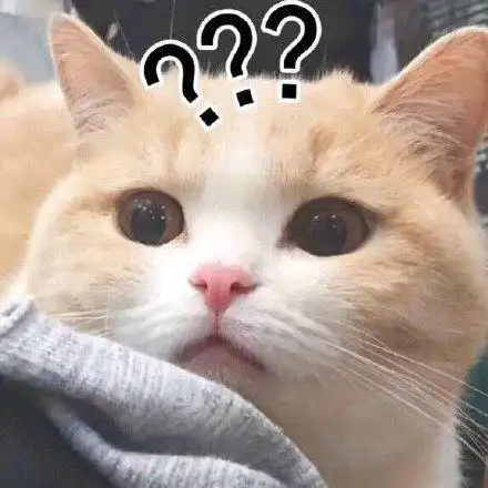  猫咪表情包合集无聊到长草