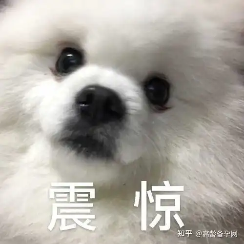  58岁高龄产妇生下双胞胎那些超高龄生育的家庭都怎样了