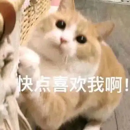  表情包都给我燃起来了
