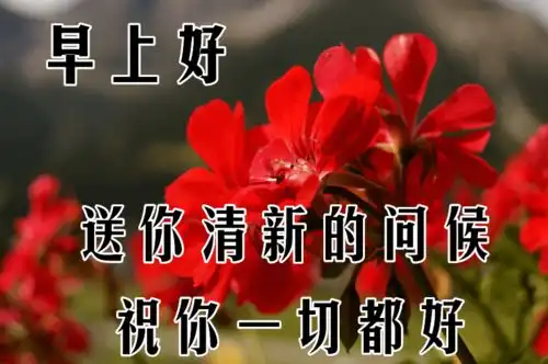  亲人朋友早上好带字表情图片,岁月点点滴滴,不忘你我情谊