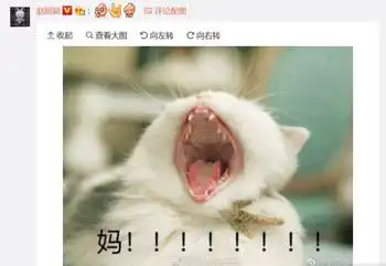  周冬雨赵丽颖互撩狂发表情包原来女神是这么撩人的