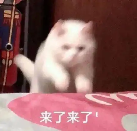 分手问题表情包奇葩
