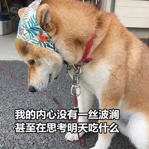 微博单身狗表情包表情包