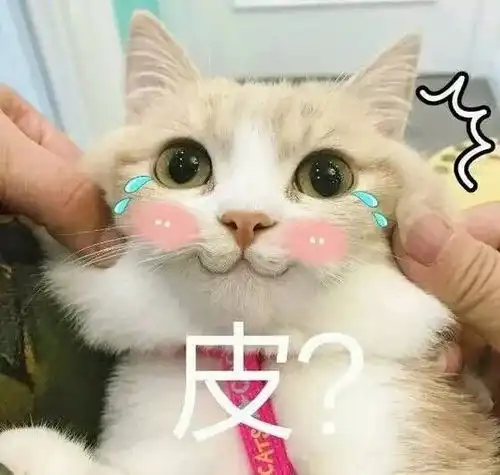  四六级怼你没商量