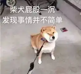  当场抓包陈翔出轨视频曝光毛晓彤连夜搬走,网友最心疼翟天临