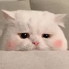  想问导师过生日的时候要发消息问候吗