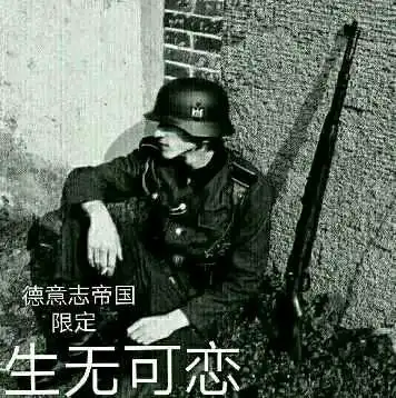  二战表情包2