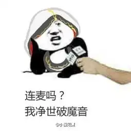  剑网三表情包被世界刷屏的连麦吗系列