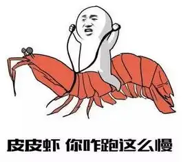  皮皮虾太慢了雷凌turbo我们先走