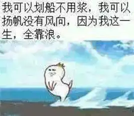  划船不用浆一生全靠浪坐上这些船你就放心浪