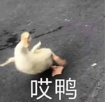  求求dior别炒冷饭ctchanel神仙打架了