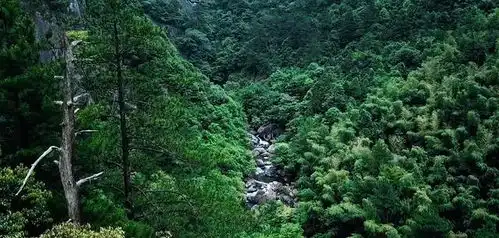  尘情续梦96痛苦的并非逝去的人,而是顶着世俗压力活着的人