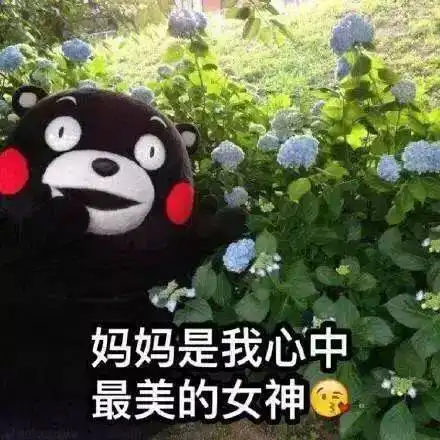  最炫酷母亲节祝福语手把手教你哄妈妈开心